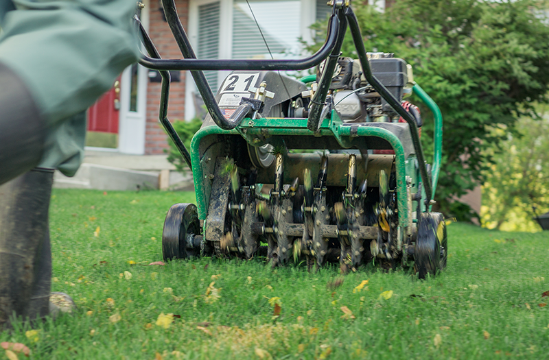 Aeration and overseeding service