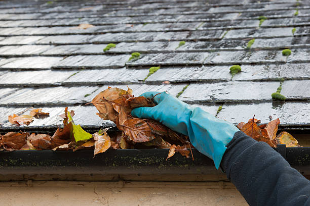 Gutter cleaning service